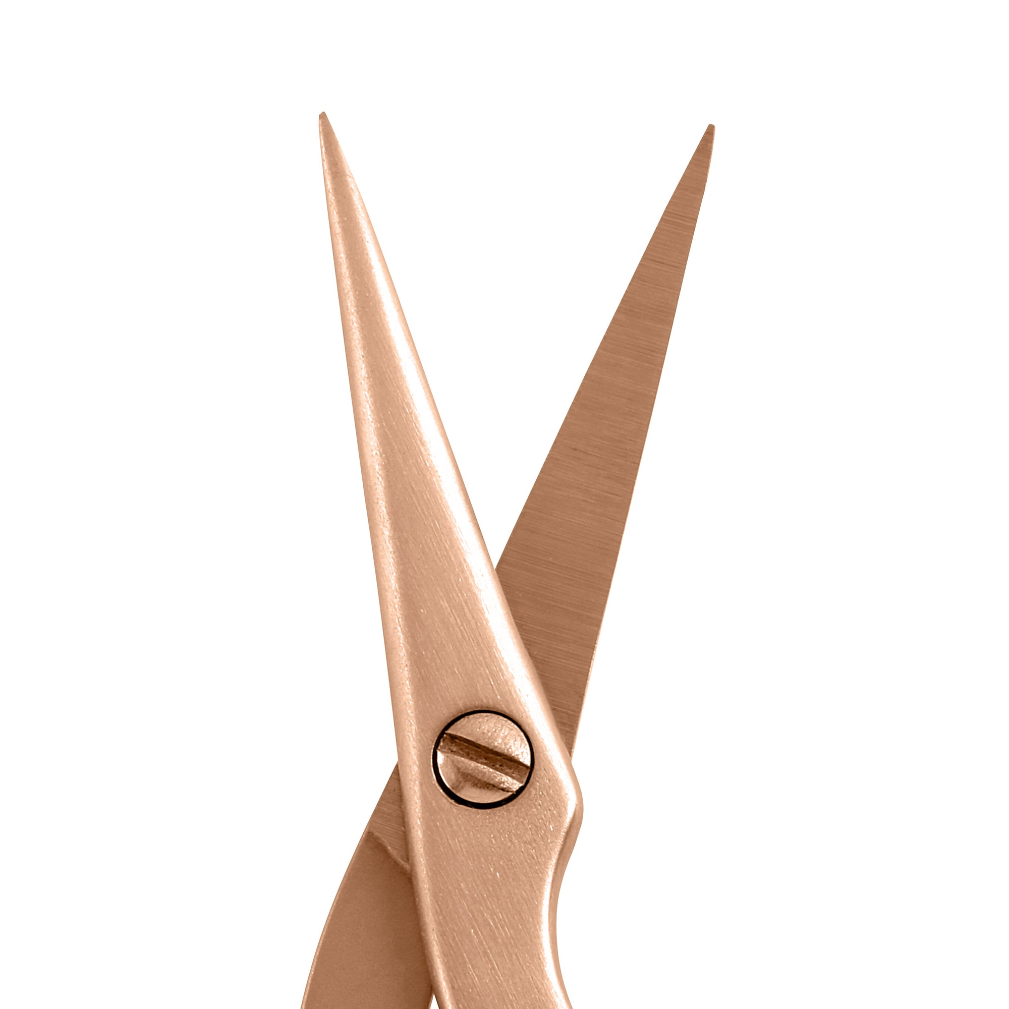 Nahaufnahme der Spitzen einer TWEEZERMAN Brow Shaping Scissors - Augenbrauenschere in Rose Gold